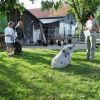 2008_vorbereitungskurs_PICT0126