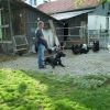 2008_vorbereitungskurs_PICT0134