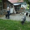 2008_vorbereitungskurs_PICT0156
