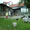 2008_vorbereitungskurs_PICT0160