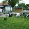 2008_vorbereitungskurs_PICT0162
