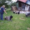 2008_vorbereitungskurs_PICT0166