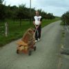 2008_vorbereitungskurs_PICT0174