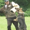 2009_training_svaholming_juli_100_5933