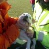 2008_welpen_040