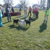 2008_welpen_053