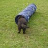 2008_welpen_DSC00703