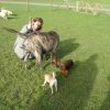 2008_welpen_DSC00731