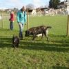 2008_welpen_DSC00733