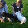 2008_welpen_DSC01509