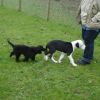 2008_welpen_DSC01733