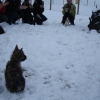 2008_welpen_DSC03332
