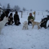 2008_welpen_DSC03333