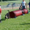 2008_welpen_W2