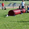 2008_welpen_W5