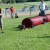 2008_welpen_W6