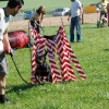 2008_welpen_W8