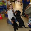 2008_welpen_Welpe-Fanto-u_-Ronja