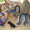 2008_welpen_Welpe-Fanto