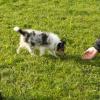 2008_welpen_pict0049
