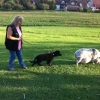 2011_welpen_Foto13_s