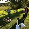 2011_welpen_Foto7_s