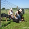 2012_welpen_DSC07415