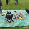 2012_welpen_DSCF8012