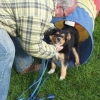 2012_welpen_DSCF8025
