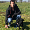 2021_hundeplus_welpen_1275dfc6-f5d9-45c7-87fe-5b2a58e1bdbf