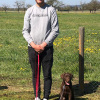 2021_hundeplus_welpen_3342aa50-756a-4baa-90a9-72c66af7ac3a