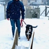 2021_hundeplus_welpen_IMG_6807