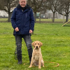 2021_hundeplus_welpen_d2a4adfd-d1f2-49ea-9781-71f76ba73e6f
